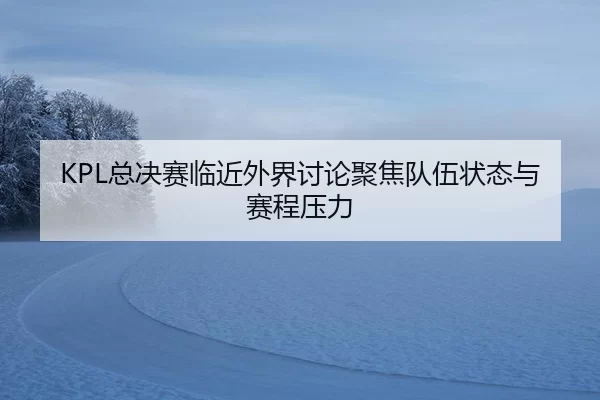 KPL总决赛临近外界讨论聚焦队伍状态与赛程压力 - queen of bounty